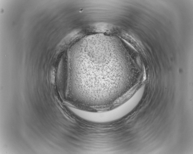 X0000087680413200705251649