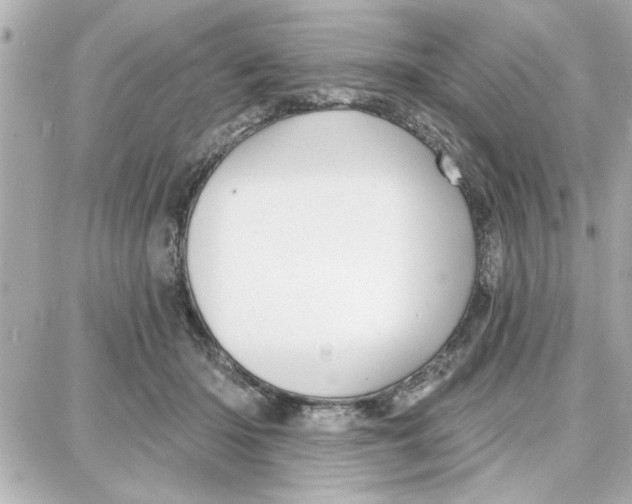 X0000087680414200705251649