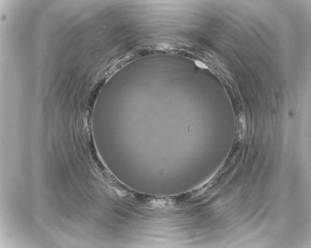 X0000087680415200705251648