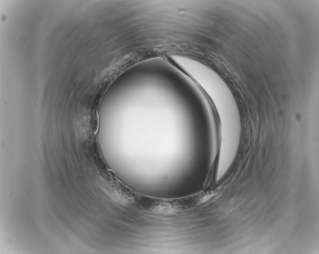 X0000087680416200705251648