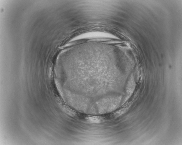 X0000087680417200705251648