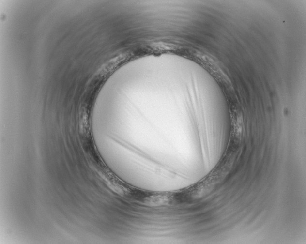 X0000087680418200705251648