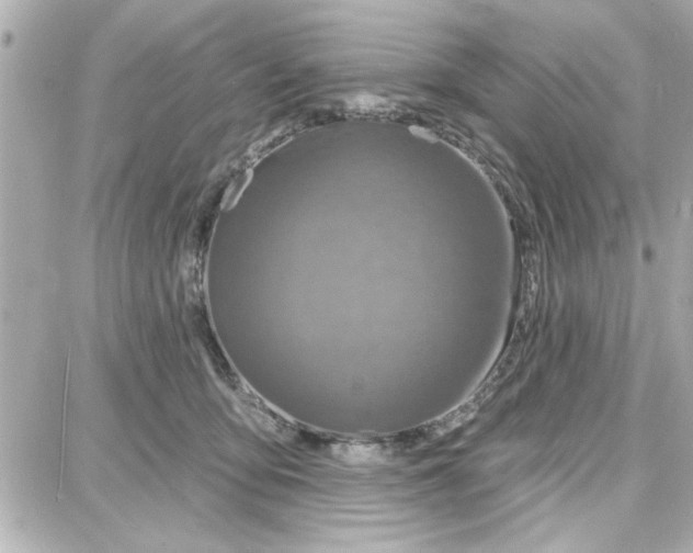 X0000087680419200705251648