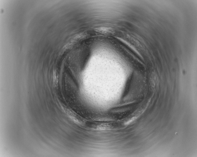 X0000087680420200705251648