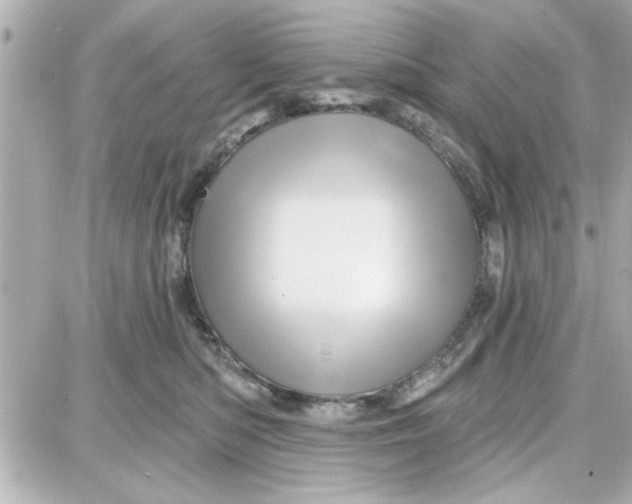 X0000087680422200705251648