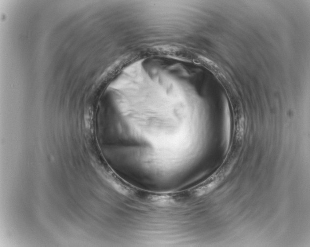 X0000087680424200705251648