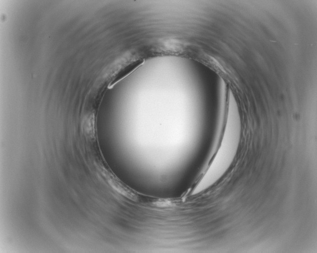 X0000087680425200705251648