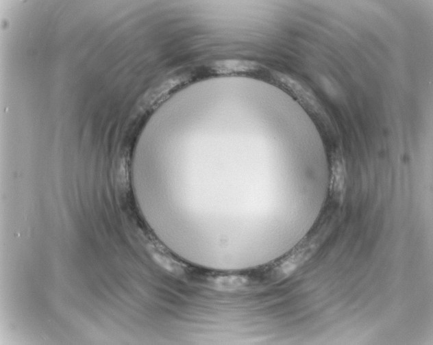 X0000087680426200705251648