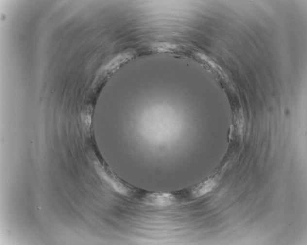 X0000087680427200705251648