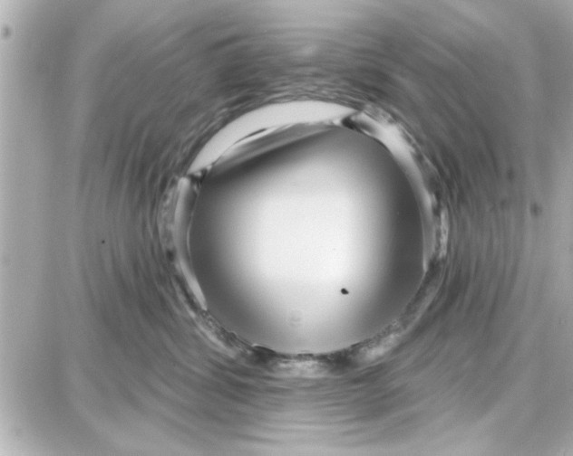 X0000087680428200705251648