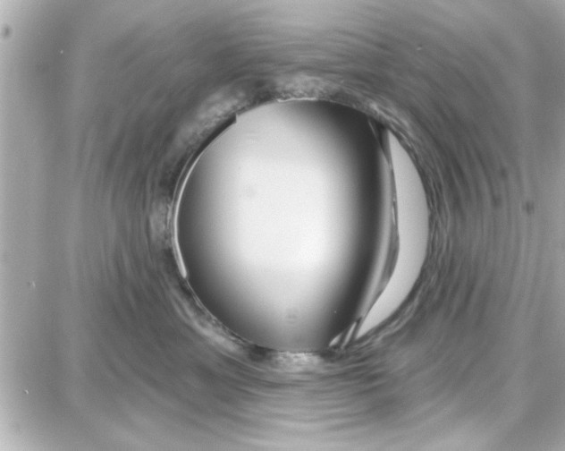 X0000087680429200705251648