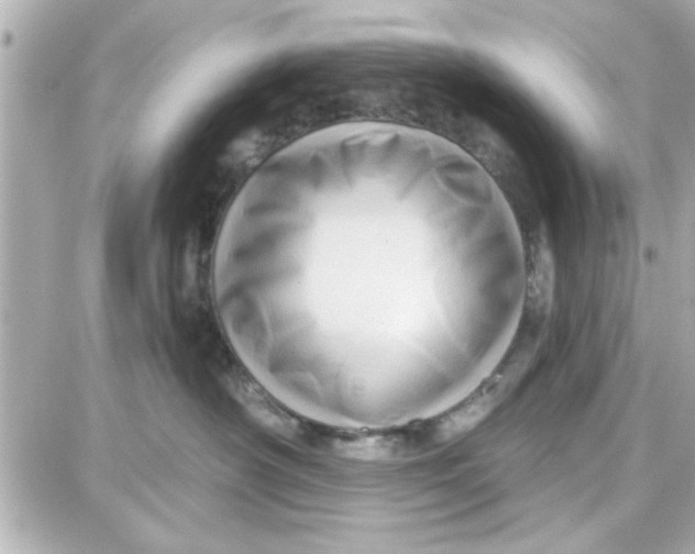 X0000087680430200705251648