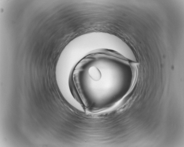 X0000087680432200705251648