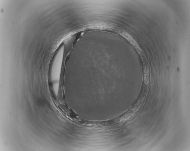 X0000087680434200705251647