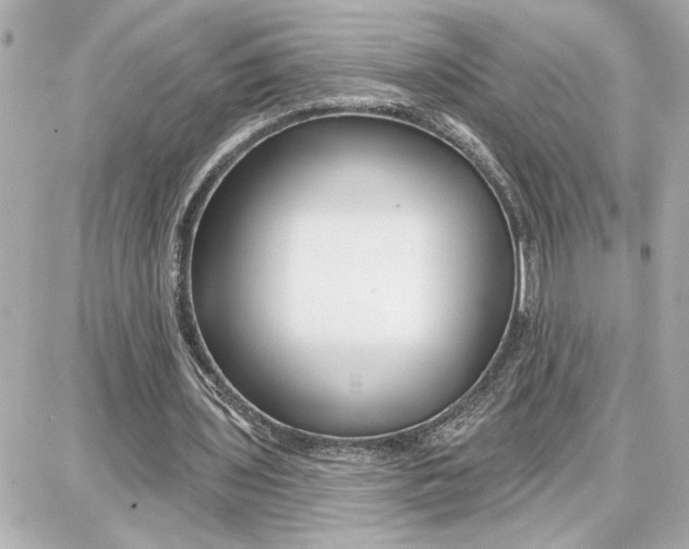 X0000087680435200705251647