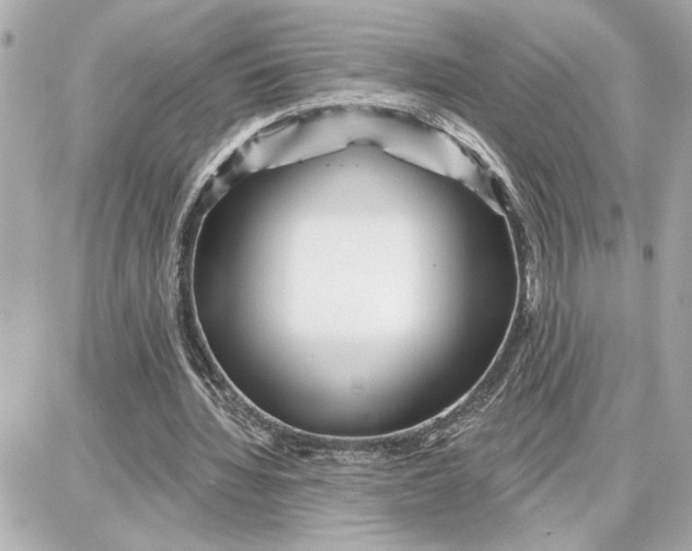 X0000087680436200705251647