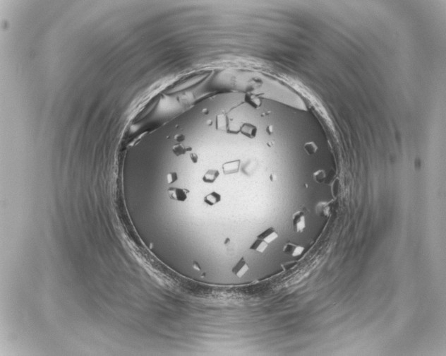 X0000087680437200705251648