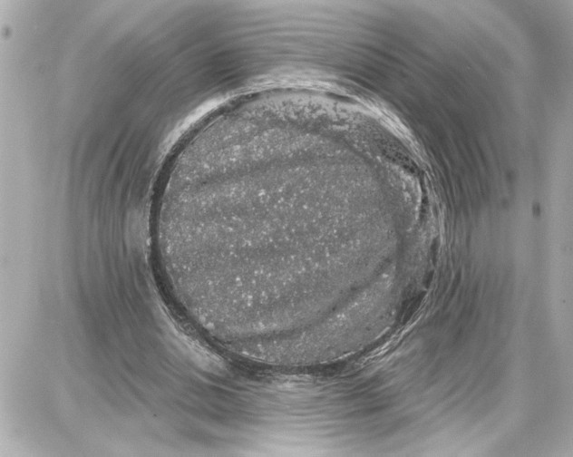 X0000087680438200705251648