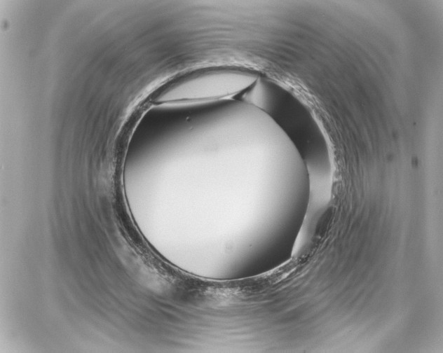 X0000087680440200705251648