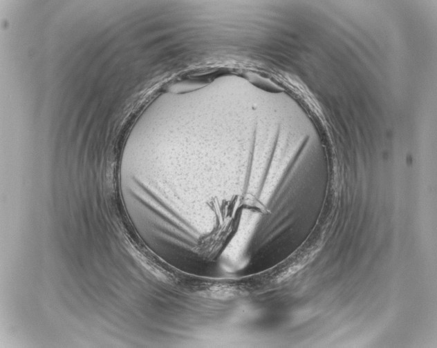 X0000087680441200705251648