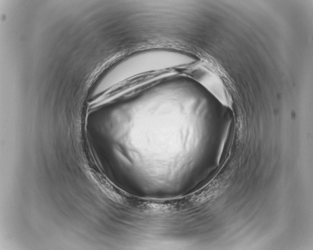 X0000087680442200705251648