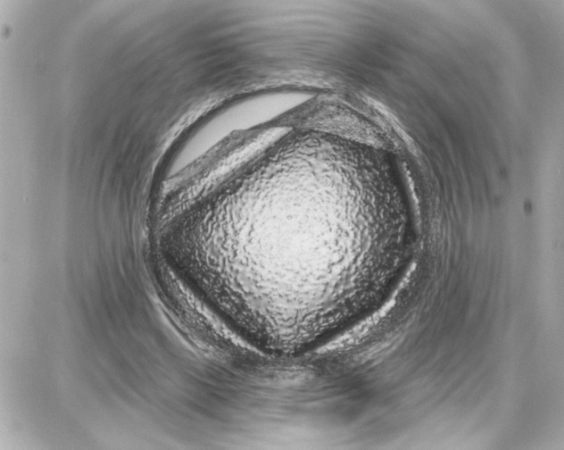 X0000087680443200705251648