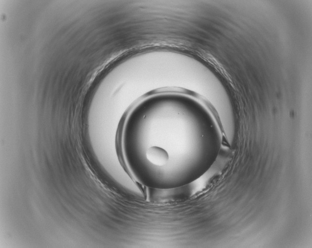 X0000087680444200705251648