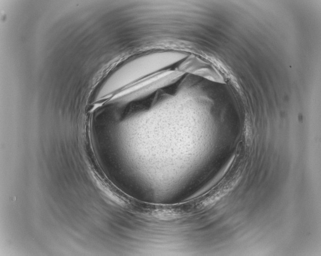 X0000087680445200705251648