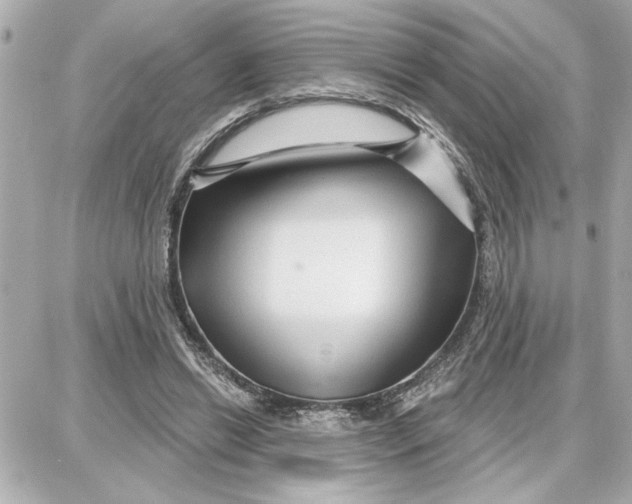 X0000087680446200705251648