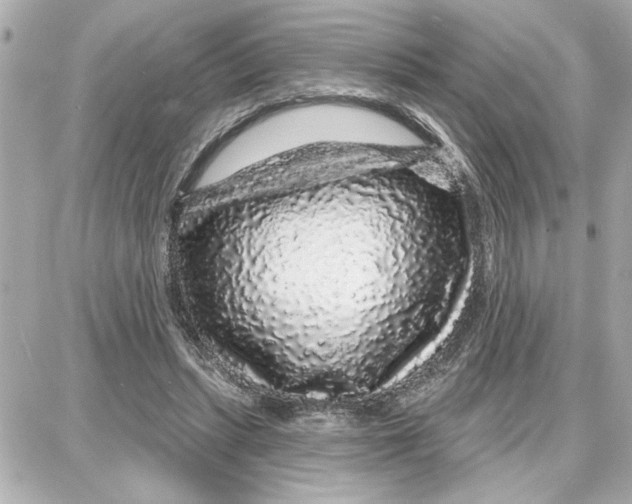 X0000087680447200705251648