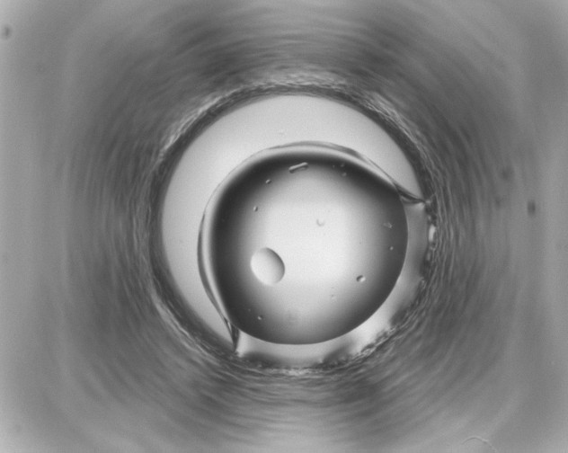 X0000087680448200705251648