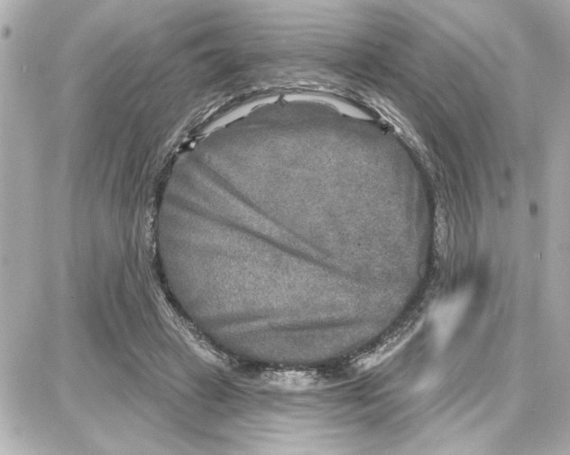 X0000087680449200705251648