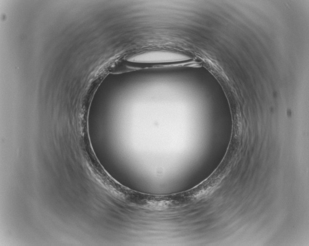 X0000087680450200705251648