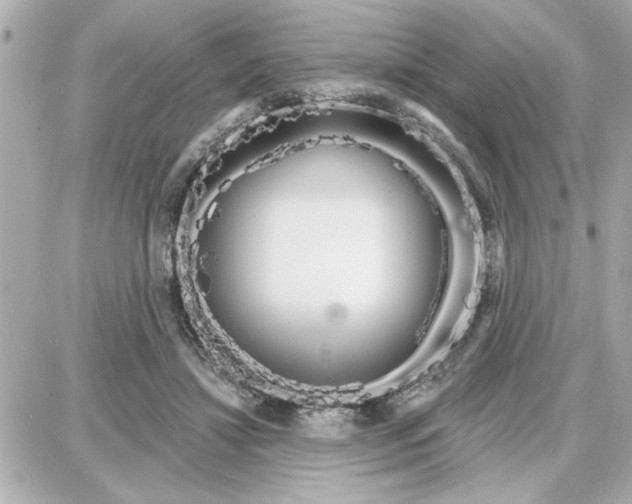 X0000087680452200705251648