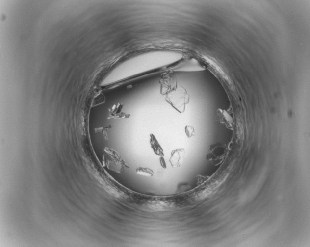 X0000087680453200705251648