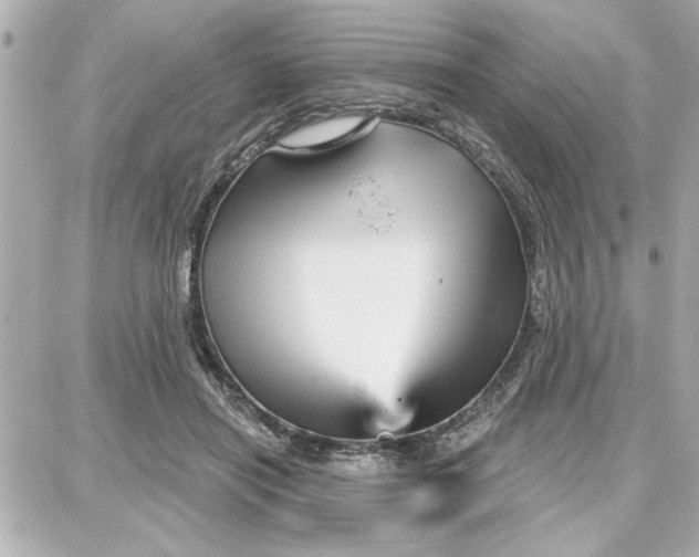 X0000087680454200705251648