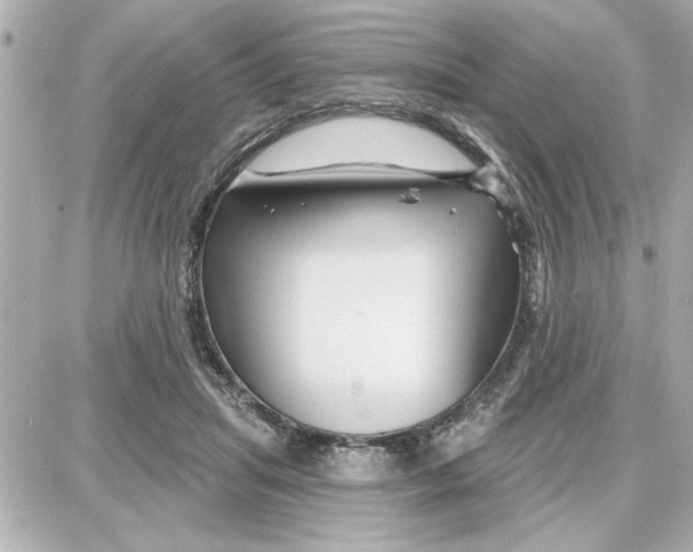 X0000087680455200705251648