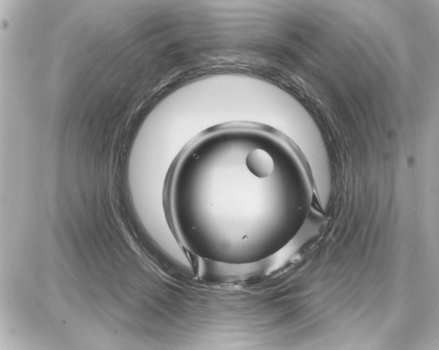 X0000087680456200705251648