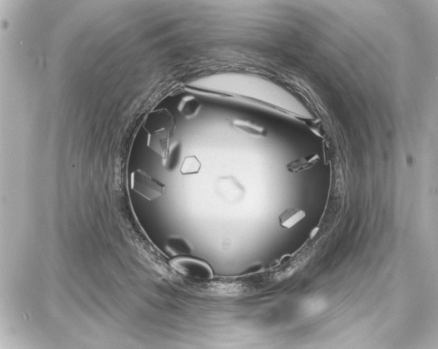 X0000087680457200705251648