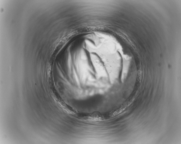 X0000087680458200705251648