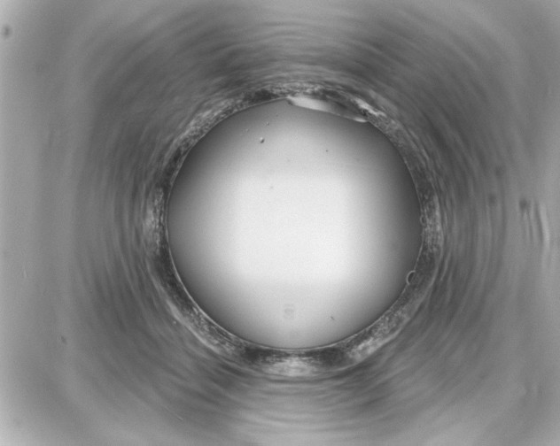 X0000087680460200705251648