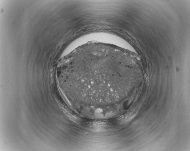 X0000087680462200705251648