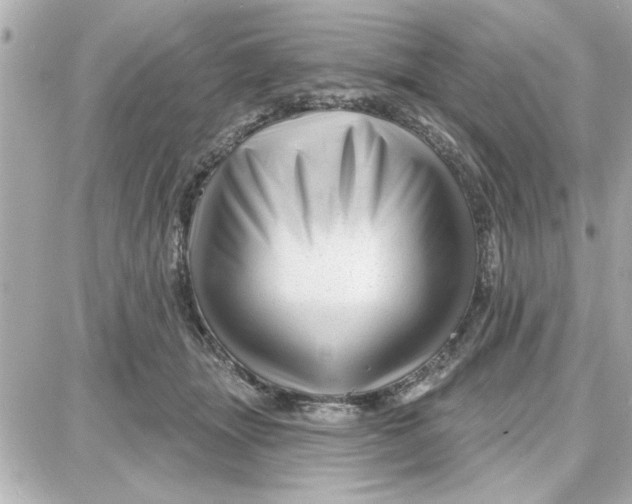 X0000087680463200705251648