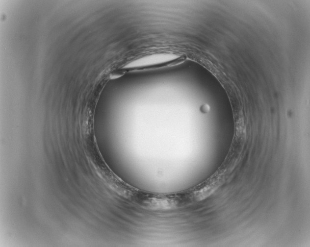 X0000087680464200705251648