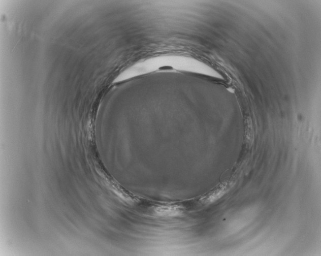 X0000087680465200705251648