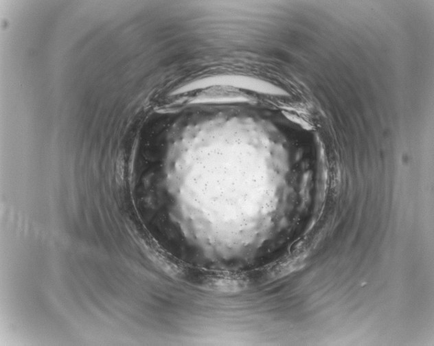 X0000087680466200705251648