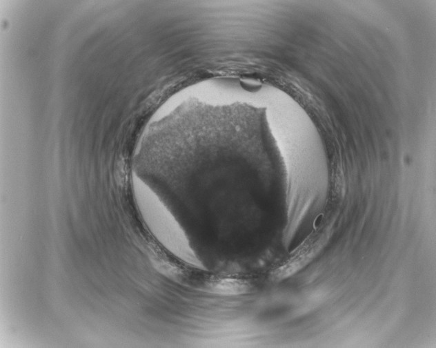 X0000087680467200705251648