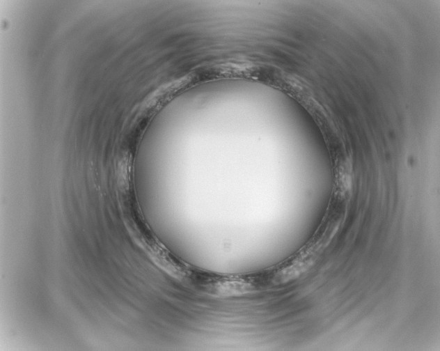 X0000087680468200705251648