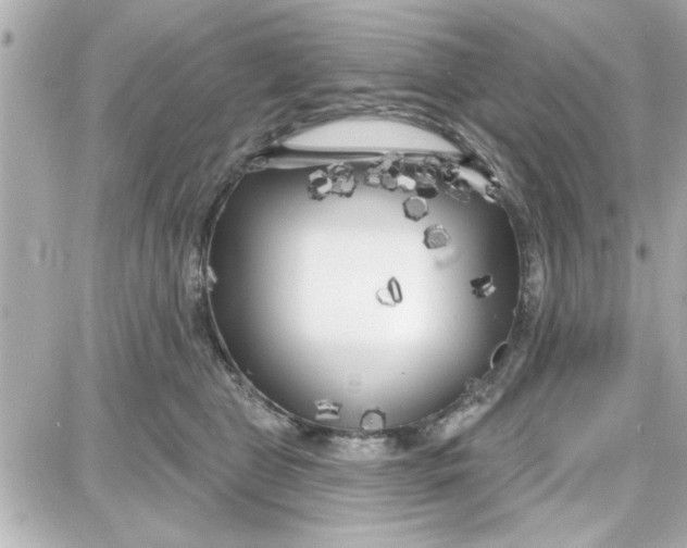 X0000087680469200705251648