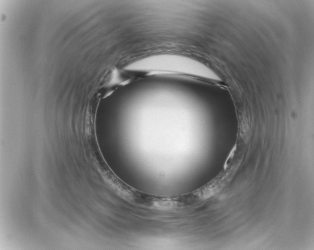 X0000087680470200705251648